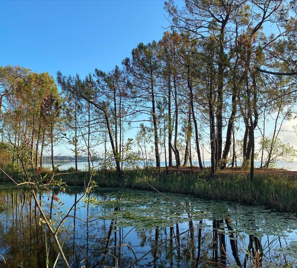 Apt Les Grands Pins, Entre Foret, Lac Et Ocean Carcans Bagian luar foto